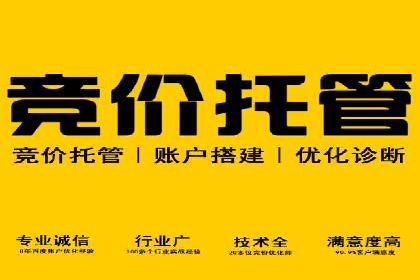 成功案例：SEM外包公司助力企业实现低成本广告